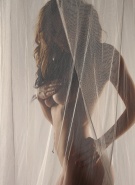 Lily Xo Sheer Curtain #5