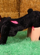 Sexy Pattycake Black Sheep #4