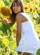 This Years Model Michelle Sunflowers #1